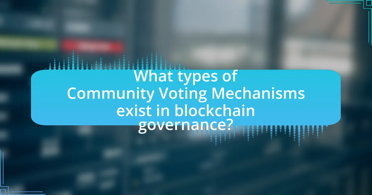 What types of Community Voting Mechanisms exist in blockchain governance?